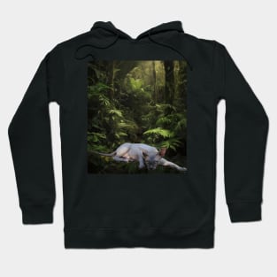 The Hairless Cat Nani Hoodie